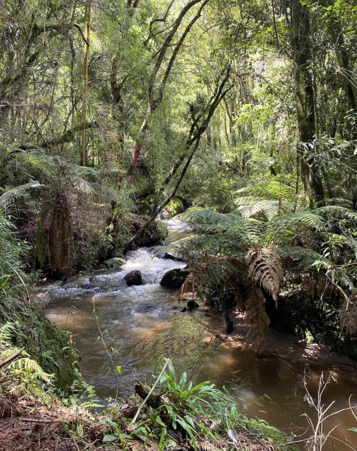 Chale Vale Das Minas Gerais Camanducaia Exteriér fotografie